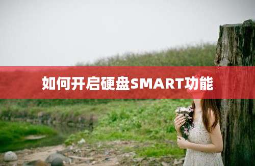 如何开启硬盘SMART功能