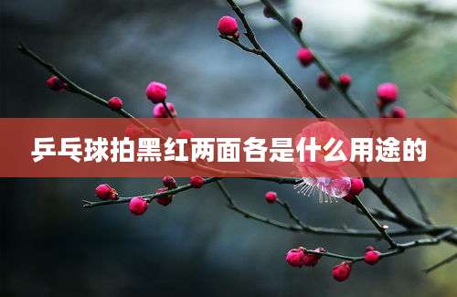 乒乓球拍黑红两面各是什么用途的