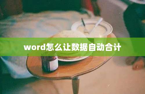 word怎么让数据自动合计