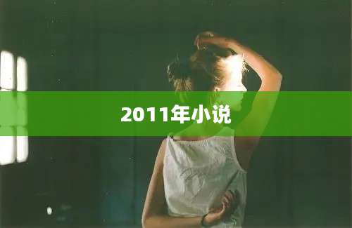 2011年小说