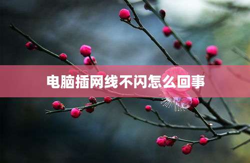 电脑插网线不闪怎么回事