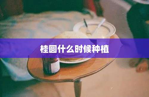 桂圆什么时候种植