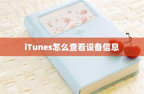 iTunes怎么查看设备信息