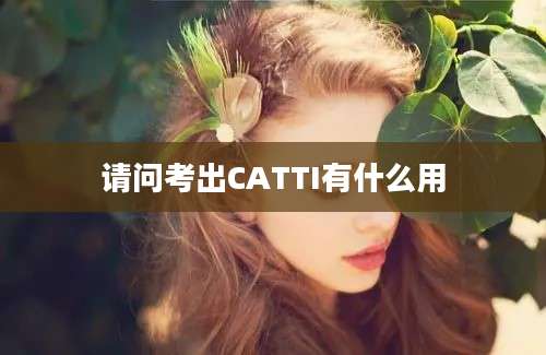 请问考出CATTI有什么用