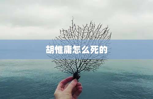 胡惟庸怎么死的