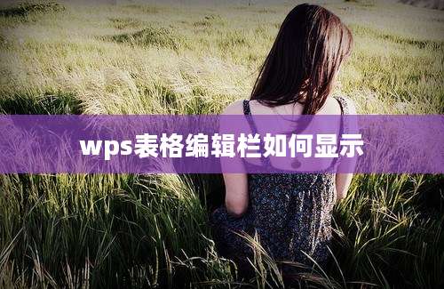 wps表格编辑栏如何显示