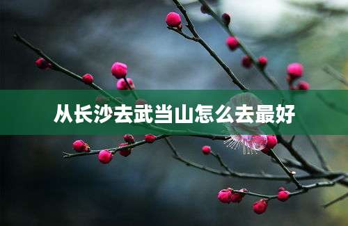 从长沙去武当山怎么去最好