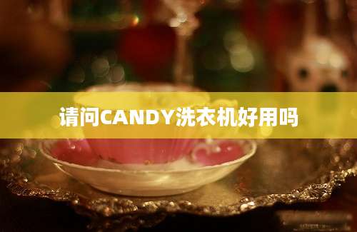 请问CANDY洗衣机好用吗