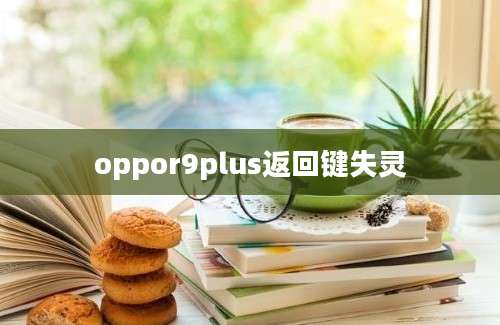 oppor9plus返回键失灵