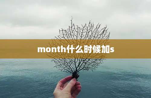 month什么时候加s