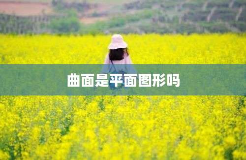 曲面是平面图形吗