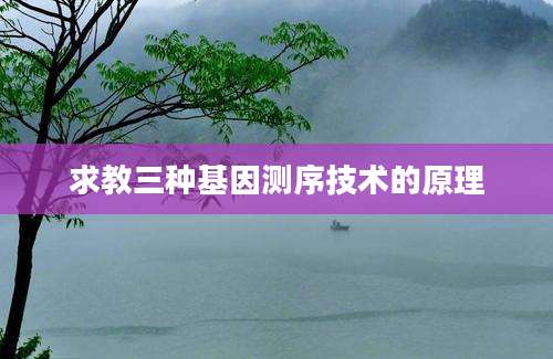 求教三种基因测序技术的原理