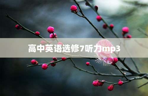 高中英语选修7听力mp3