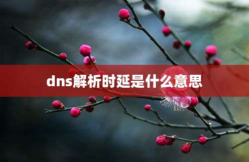 dns解析时延是什么意思