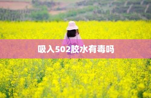 吸入502胶水有毒吗