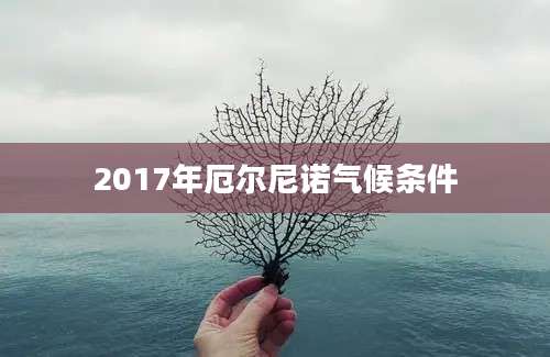 2017年厄尔尼诺气候条件