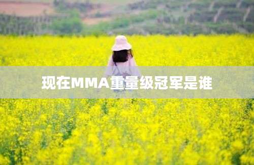 现在MMA重量级冠军是谁