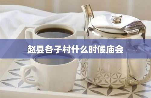 赵县各子村什么时候庙会