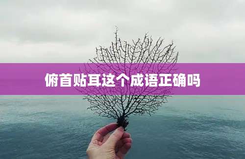 俯首贴耳这个成语正确吗