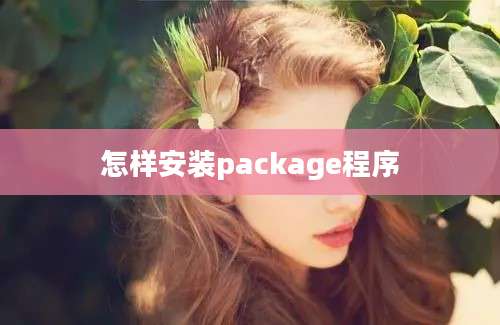 怎样安装package程序