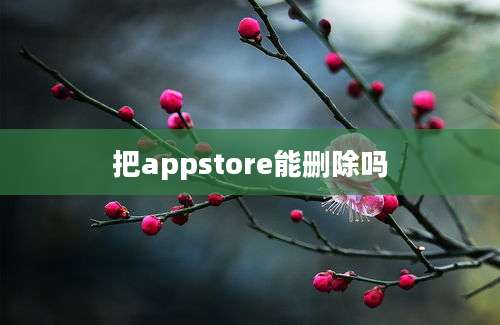 把appstore能删除吗