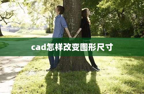 cad怎样改变图形尺寸