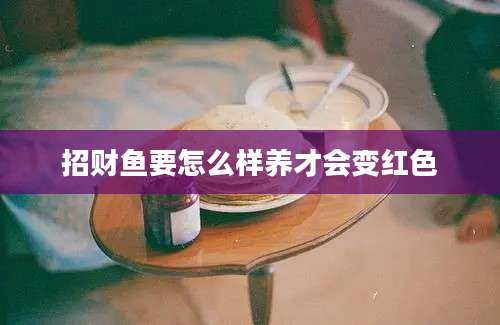 招财鱼要怎么样养才会变红色