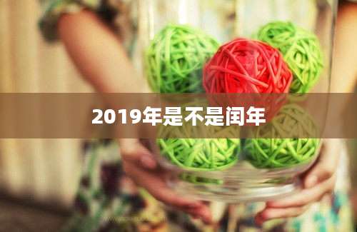 2019年是不是闰年