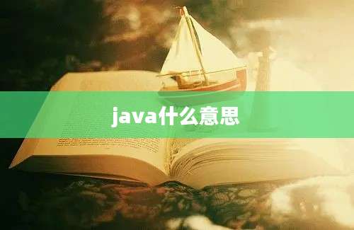 java什么意思