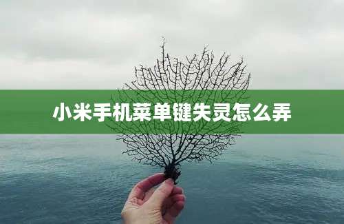 小米手机菜单键失灵怎么弄