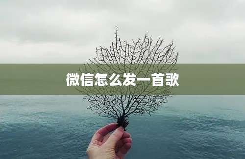 微信怎么发一首歌