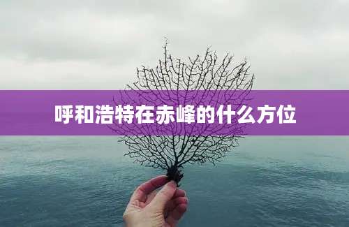 呼和浩特在赤峰的什么方位