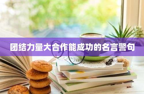 团结力量大合作能成功的名言警句