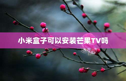 小米盒子可以安装芒果TV吗