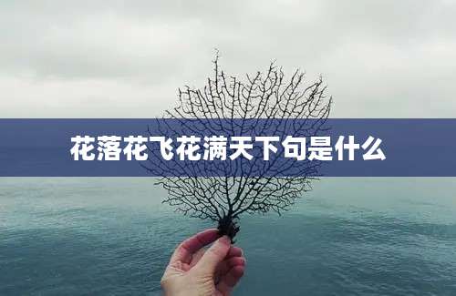 花落花飞花满天下句是什么