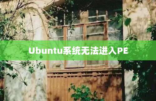 Ubuntu系统无法进入PE