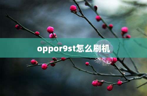 oppor9st怎么刷机