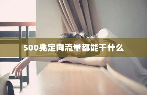 500兆定向流量都能干什么