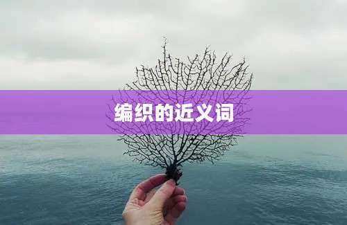 编织的近义词