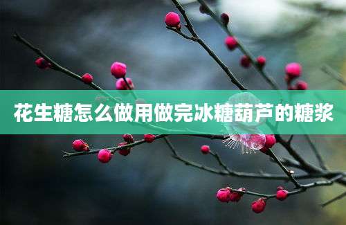 花生糖怎么做用做完冰糖葫芦的糖浆