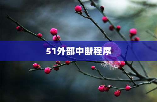 51外部中断程序