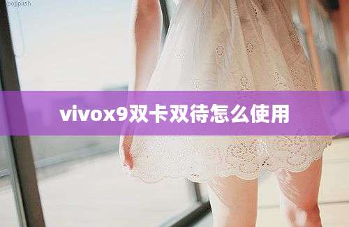 vivox9双卡双待怎么使用