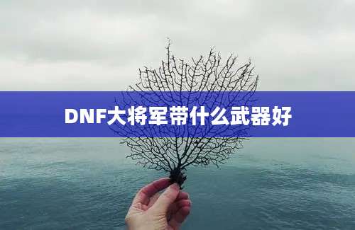 DNF大将军带什么武器好