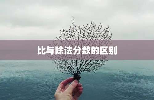 比与除法分数的区别