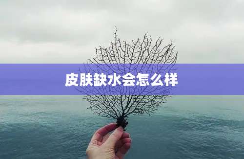 皮肤缺水会怎么样