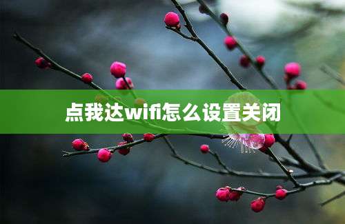 点我达wifi怎么设置关闭