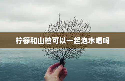 柠檬和山楂可以一起泡水喝吗