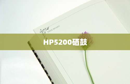 HP5200硒鼓