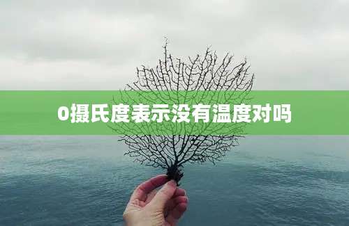 0摄氏度表示没有温度对吗