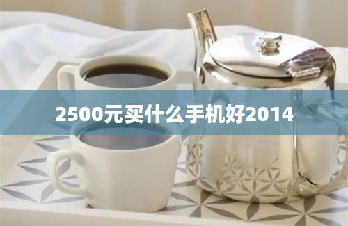 2500元买什么手机好2014